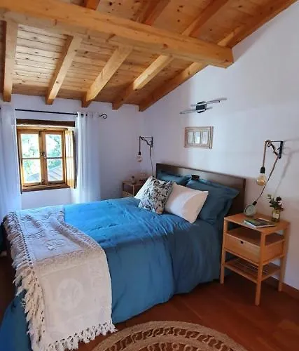 Casa Do Passaro