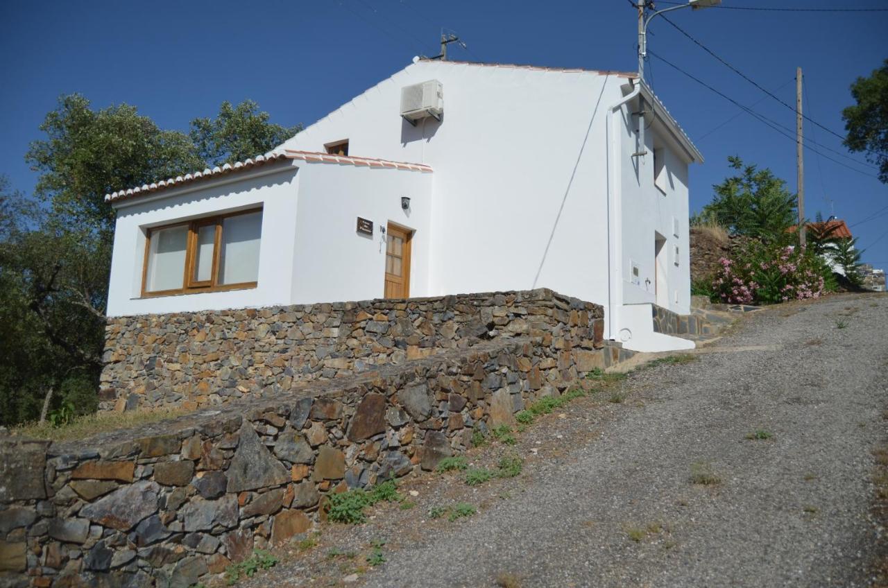 Casa Do Passaro