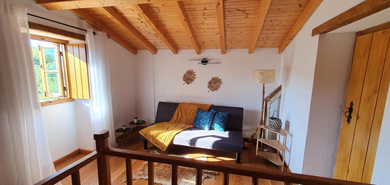 Casa Do Passaro Holiday home *