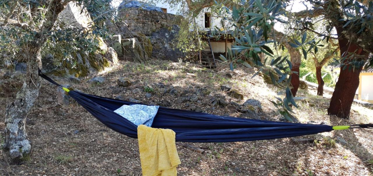 Holiday home Casa Do Passaro Galegos (Portalegre)