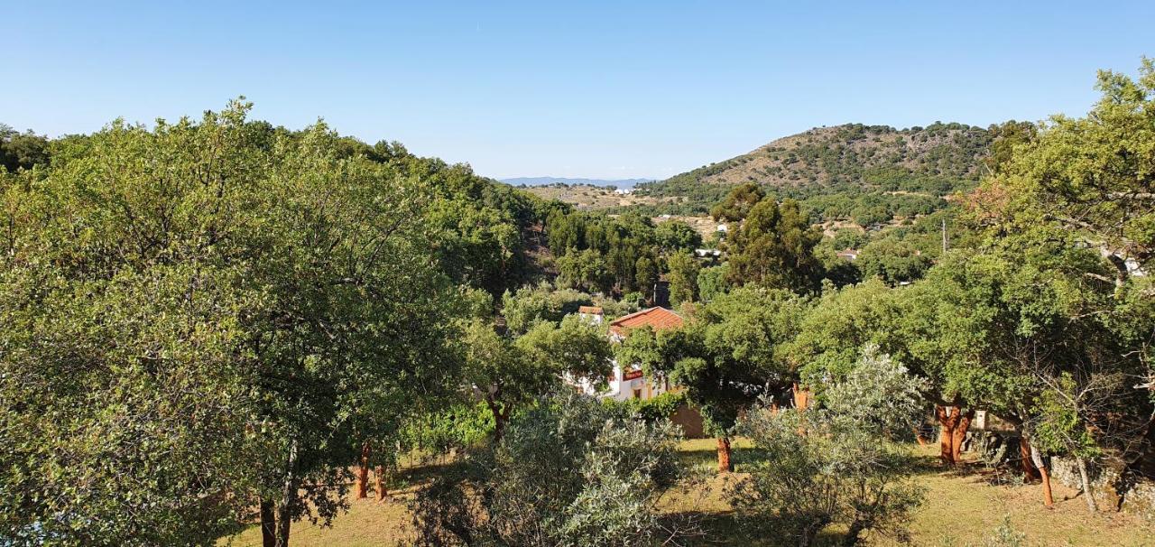 Holiday home Casa Do Passaro *