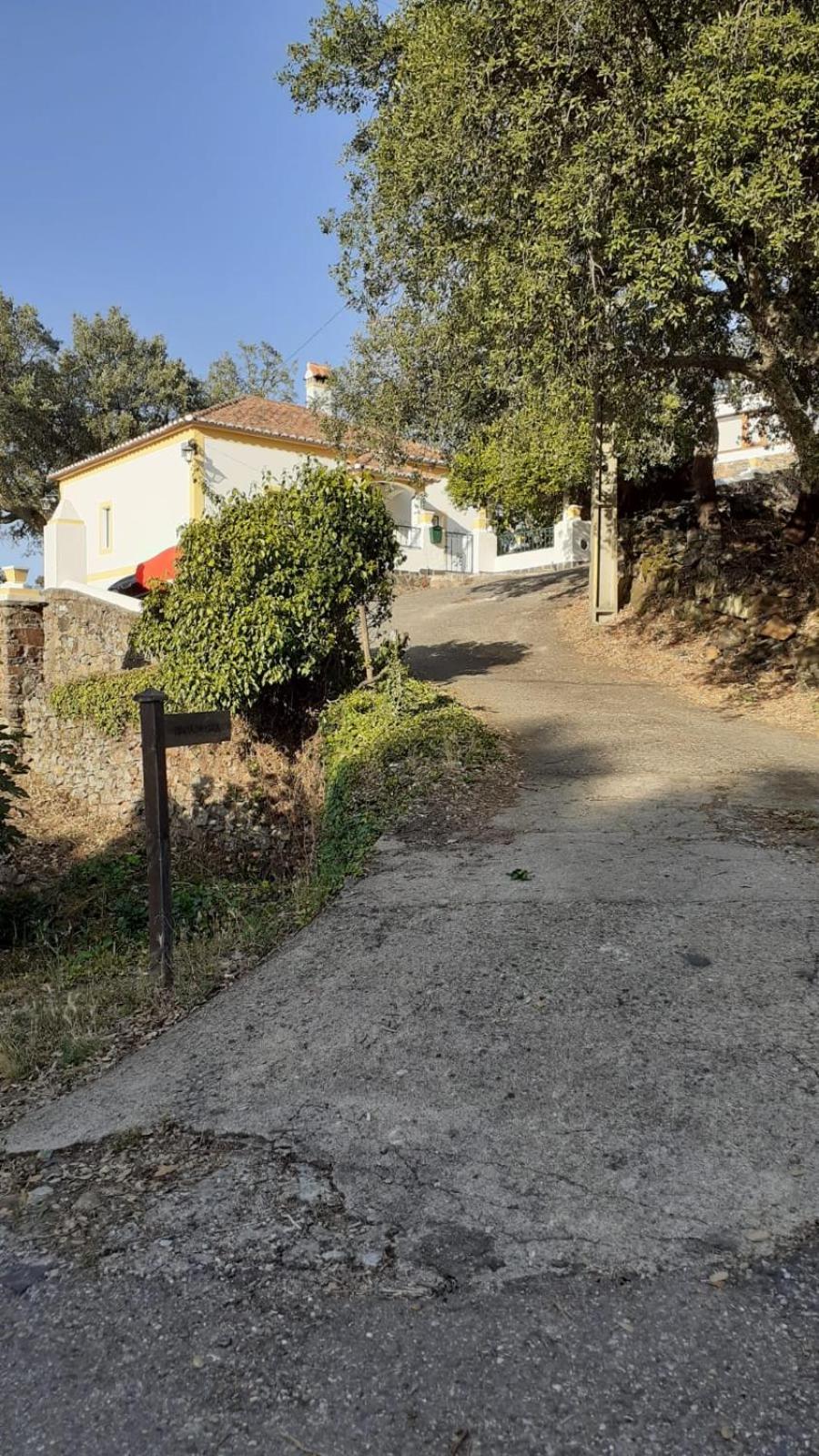 Casa Do Passaro *