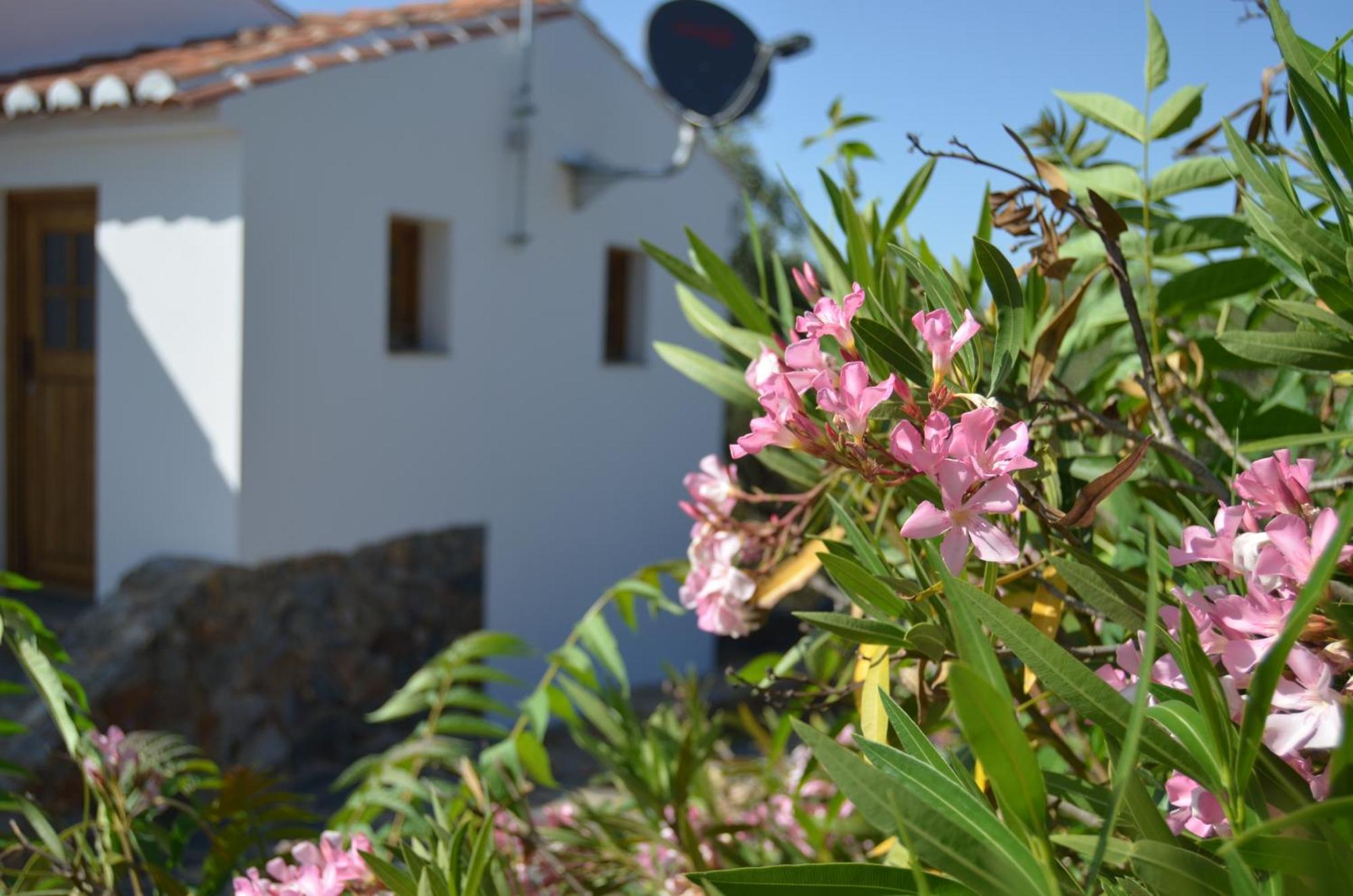 Holiday home Casa Do Passaro *
